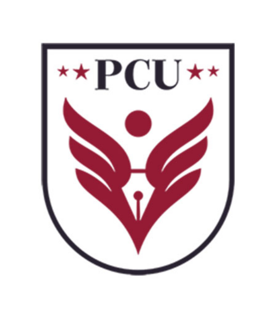 Pimpri Chinchwad University